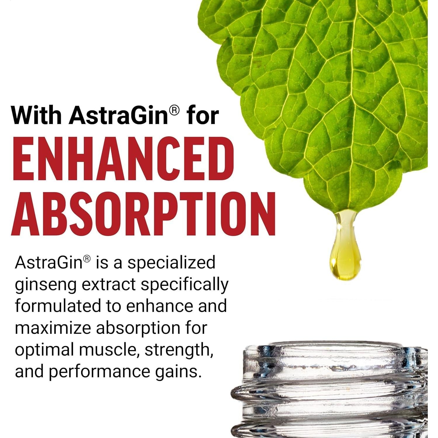 Force Factor Creatine HMB, 5G Creatine Monohydrate Powder, 3G Myhmb, (30 Servings)