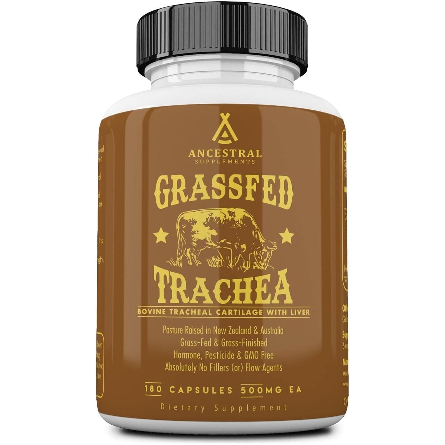 Ancestral Supplements Grass Fed Beef Tracheal Cartilage Supplement with Liver, 3000Mg for Immune Health and Joint Support 180 Capsules