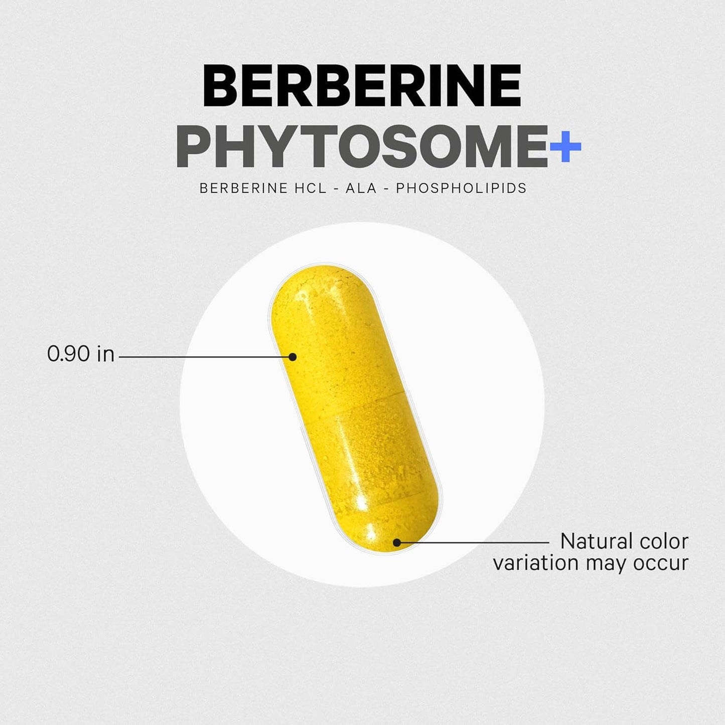 Codeage Berberine Phytosome Supplement - 2-Month Supply