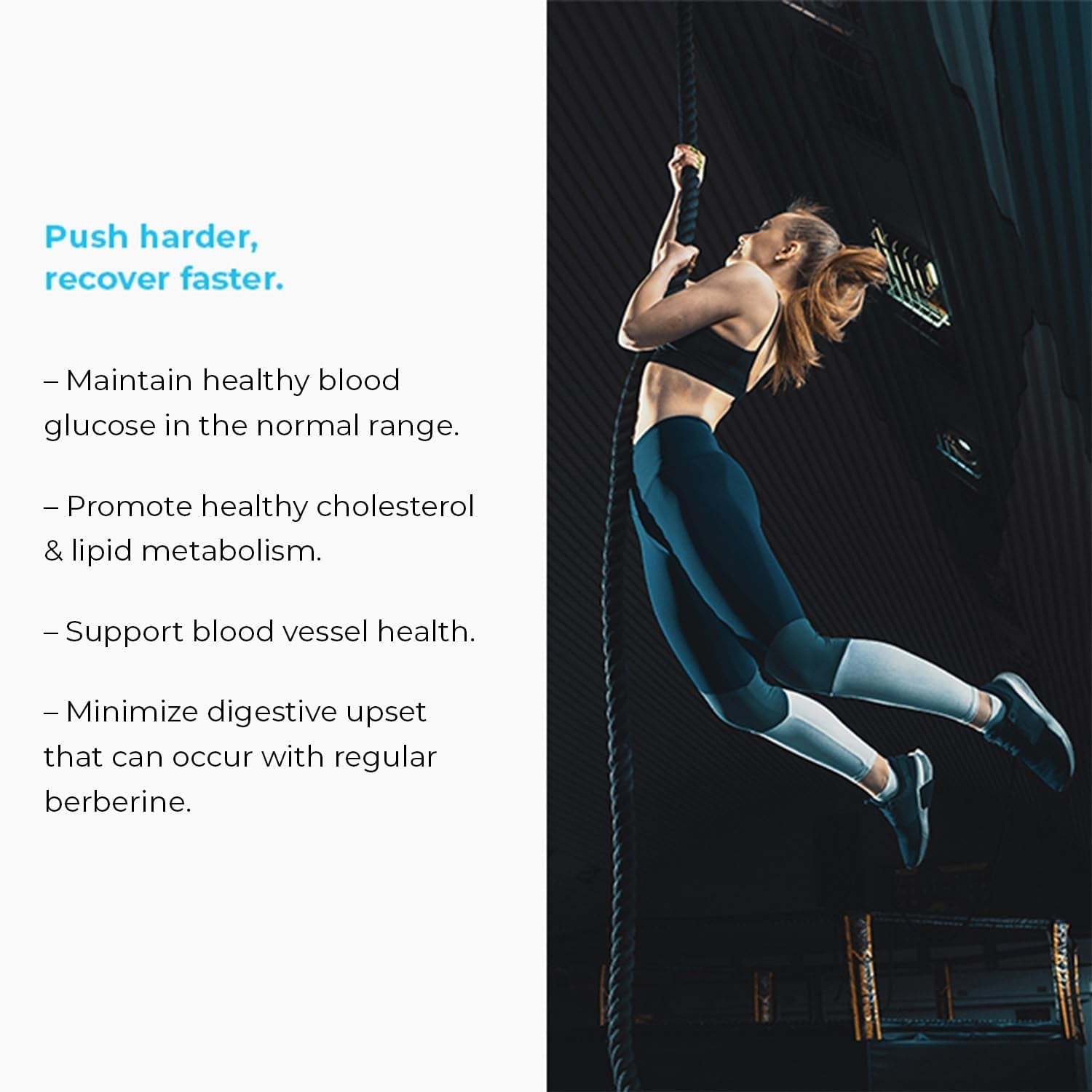 EPC Company Dihydroberberine - Sustained Release Berberine Supplement - 150Mg (60 Count)