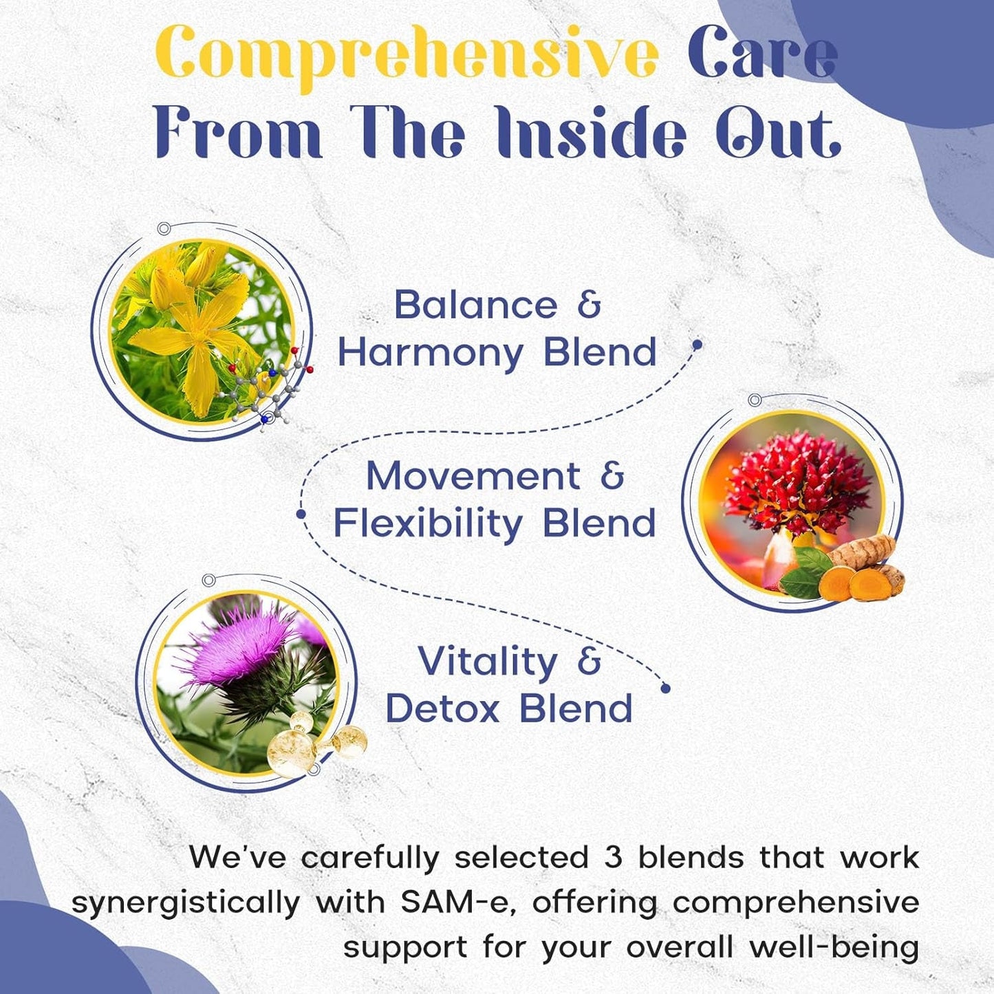 1200 MG SAM E Supplement for Brain, Mood, Joint, and Liver, 60 Tablets, Vegan