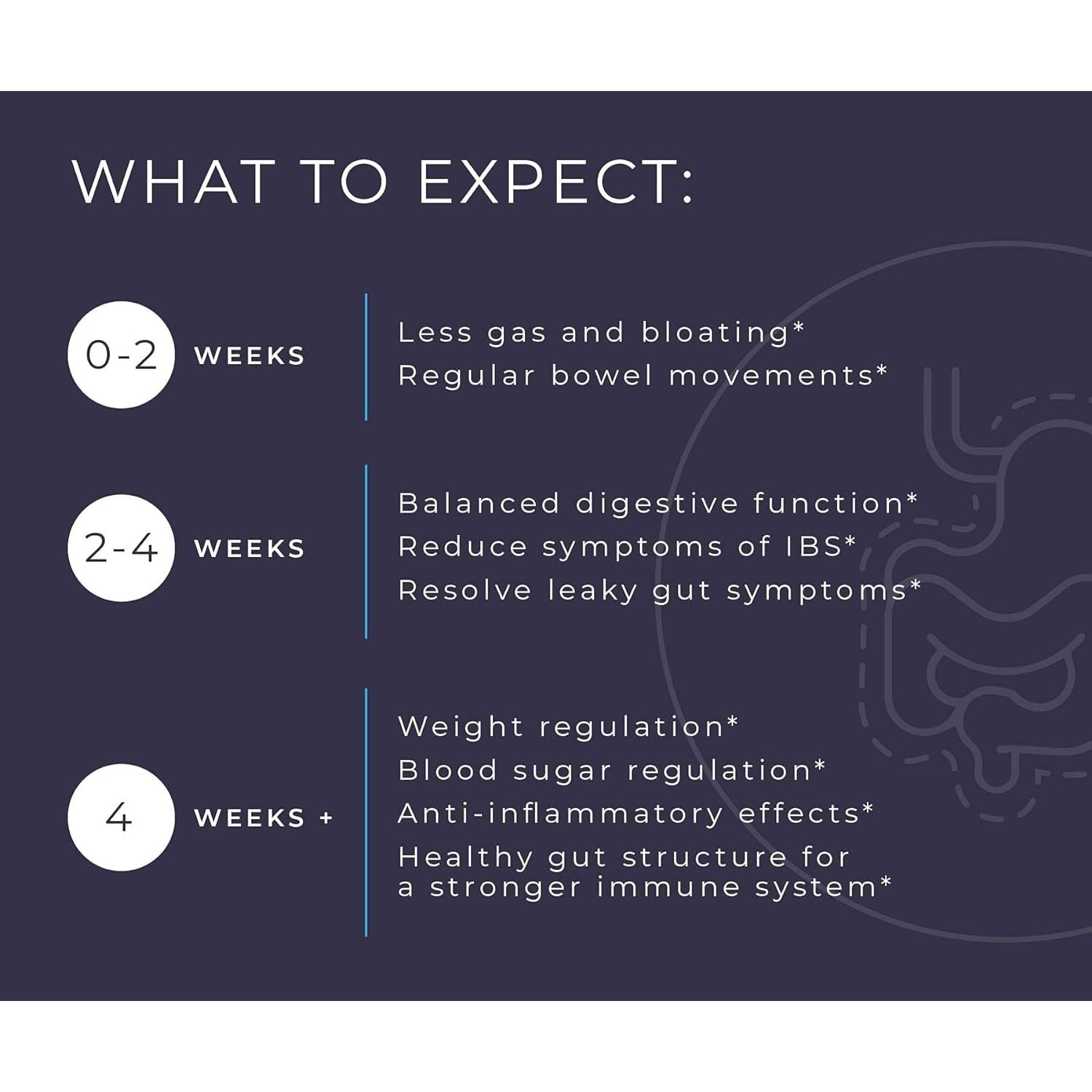 Bodybio Gut Health Supplement 60 Caps - Supports Healthy Digestion | Leaky Gut Repair | No Additives