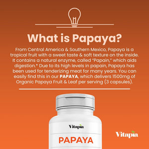 Papaya Fruit Enzyme Capsules for Digestion, Bloating Relief, Immune Support (1500Mg/180 Veggie Capsules)