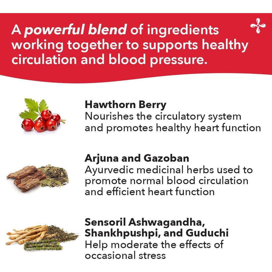 Lifeseasons B/P Stabili-T - Blood Pressure Support - Vitamin Supplement for Healthy Heart & Blood Circulation - 120 Capsules