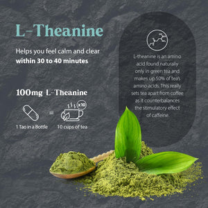 Dragon Herbs - Tao in a Bottle Capsules | Herbal Formula Supplement to Support Stress, Mood, Focus, Adaptability, (60 Capsules, 450 Mg)