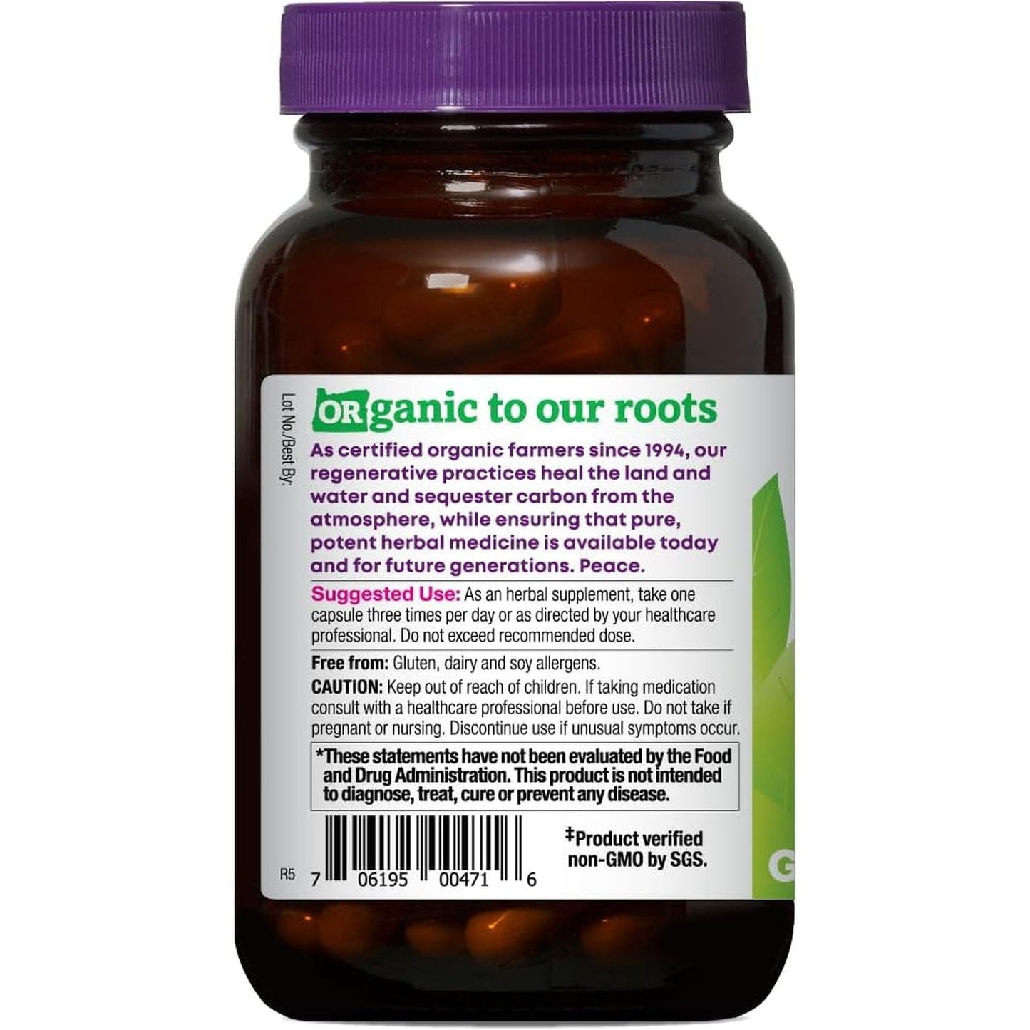 Oregon'S Wild Harvest Lion'S Mane plus Brain & Memory Support with Vitamins & Ginkgo, Organic, 60 Count