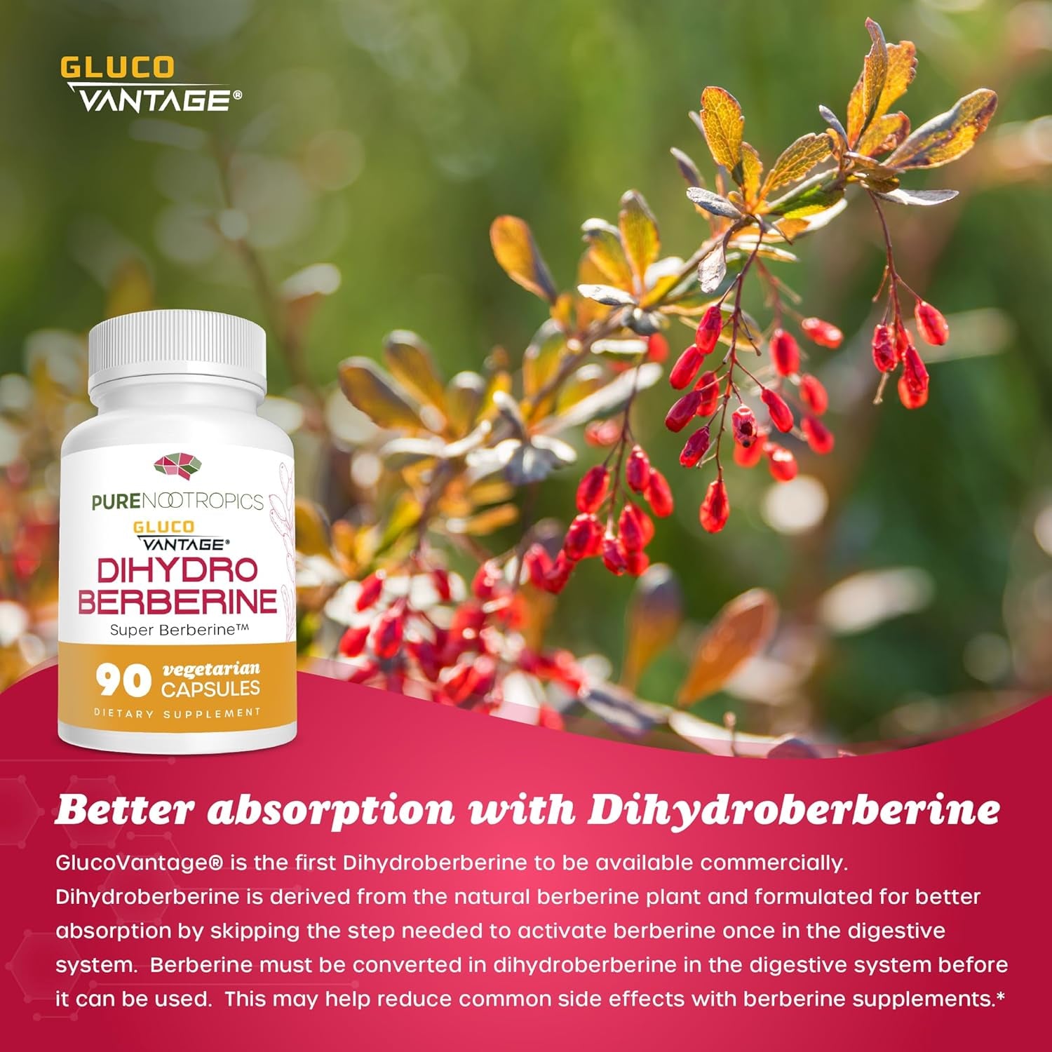 Dihydroberberine Supplement (Glucovantage) 100 Mg, 90 Capsules | Super Berberine