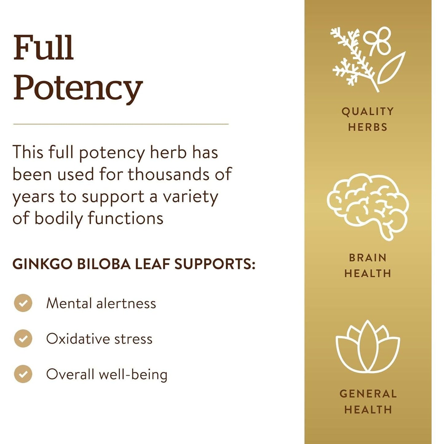 Solgar Ginkgo Biloba Leaf Extract - Brain Health & Mental Alertness 180 Capsules