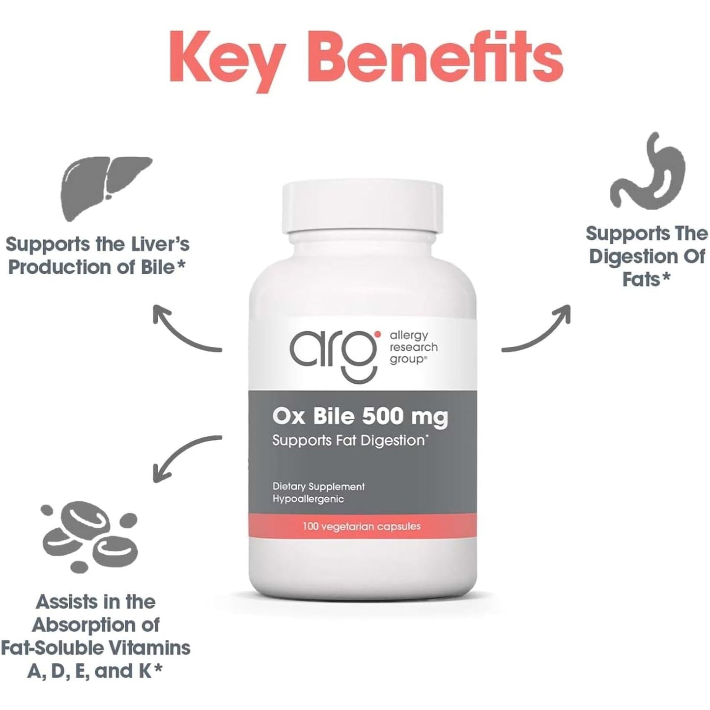 Allergy Research Group Ox Bile 500Mg - Digestive Enzymes for Liver, Ox Bile Supplement 100 Count