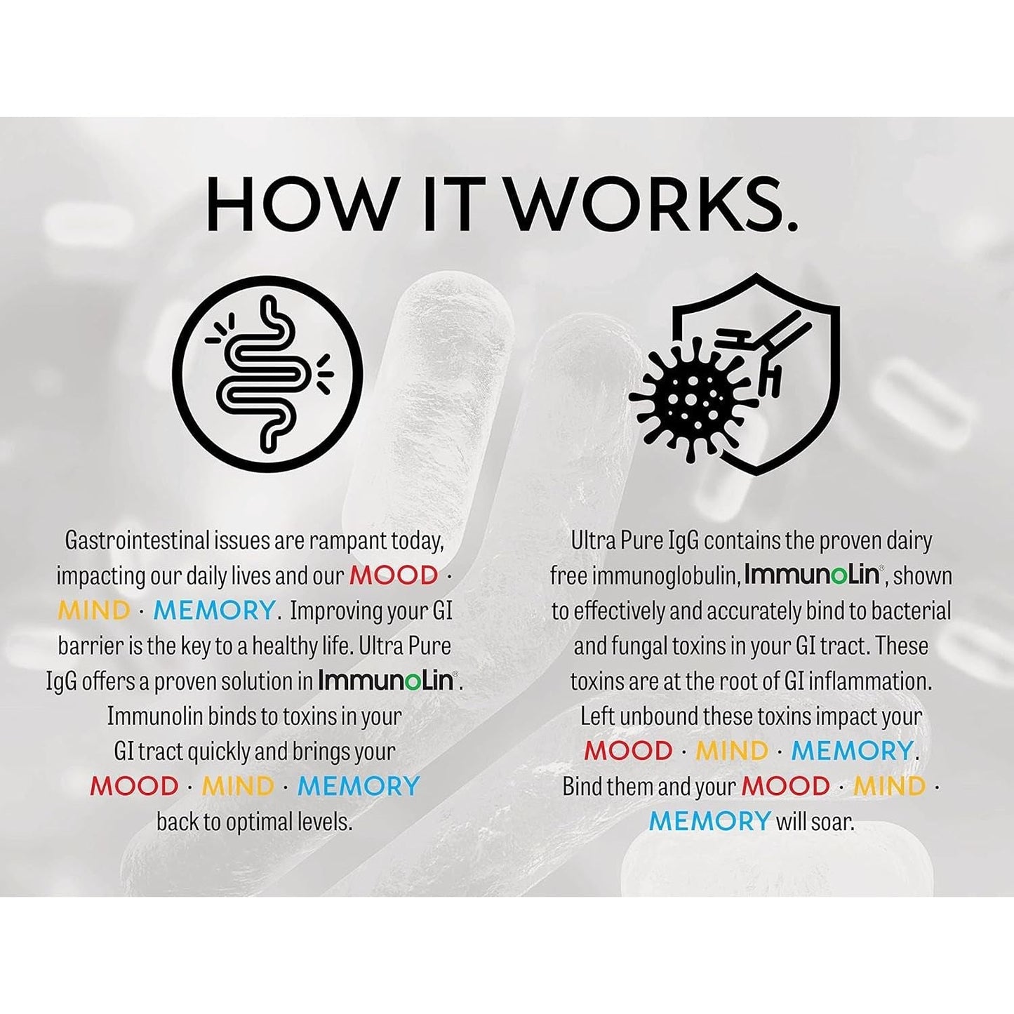 Brain Basics Ultra Pure Igg Supplement - Blended Vitamin & Mineral Supplements, 150G, 60 Servings