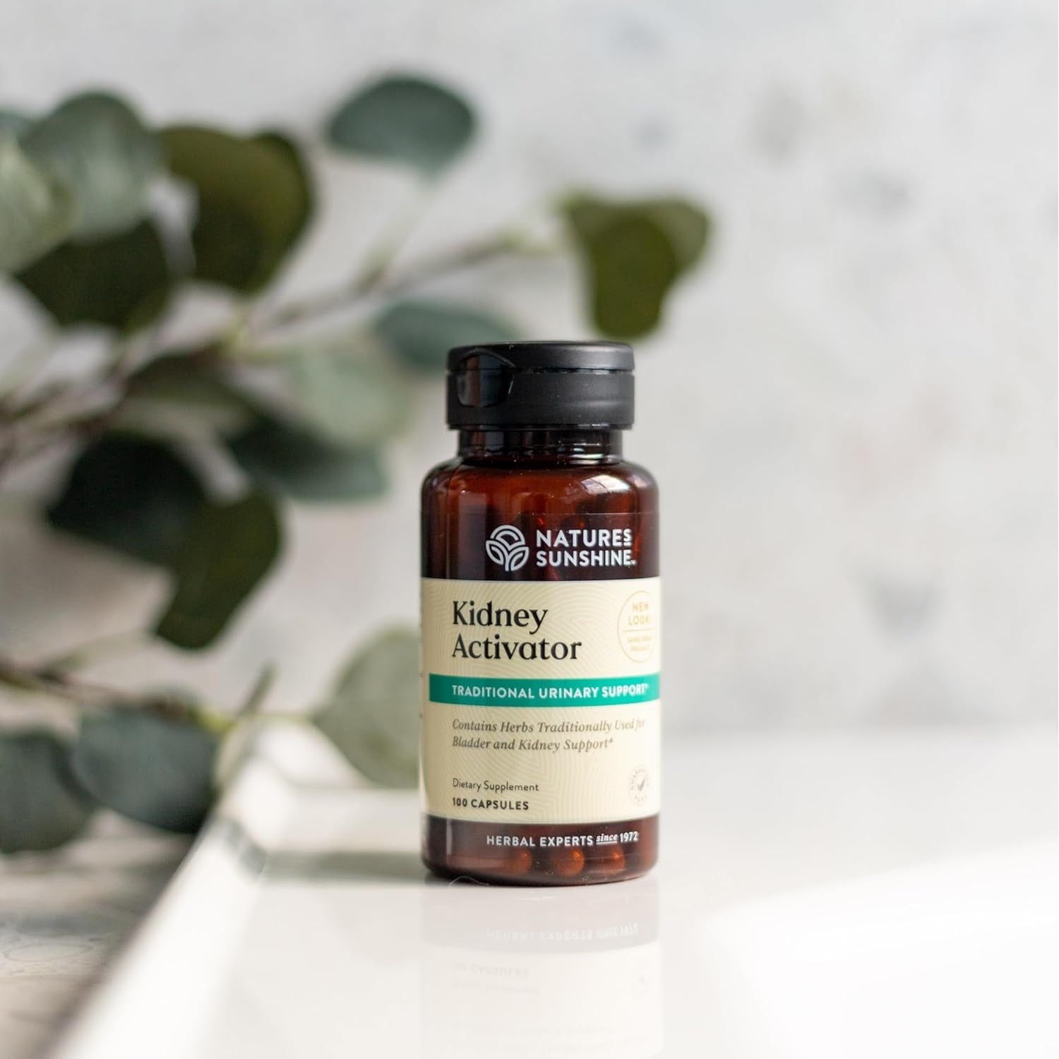 Nature'S Sunshine Kidney Activator Capsules, to Support and Enhance Kidney Function and Urine Flow 100 Capsules