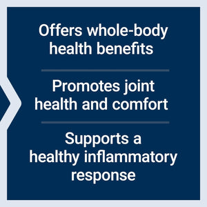 Life Extension Super Bio-Curcumin Turmeric Extract – Highly-Absorbable Curcumin for Whole-Body Health Support –  60 Capsules