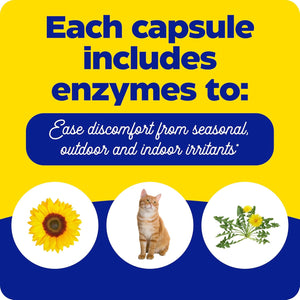 Enzymedica, Allerase, Non-Drowsy Enzyme Supplement to Help Relieve Seasonal Mucus Buildup, 60 Count