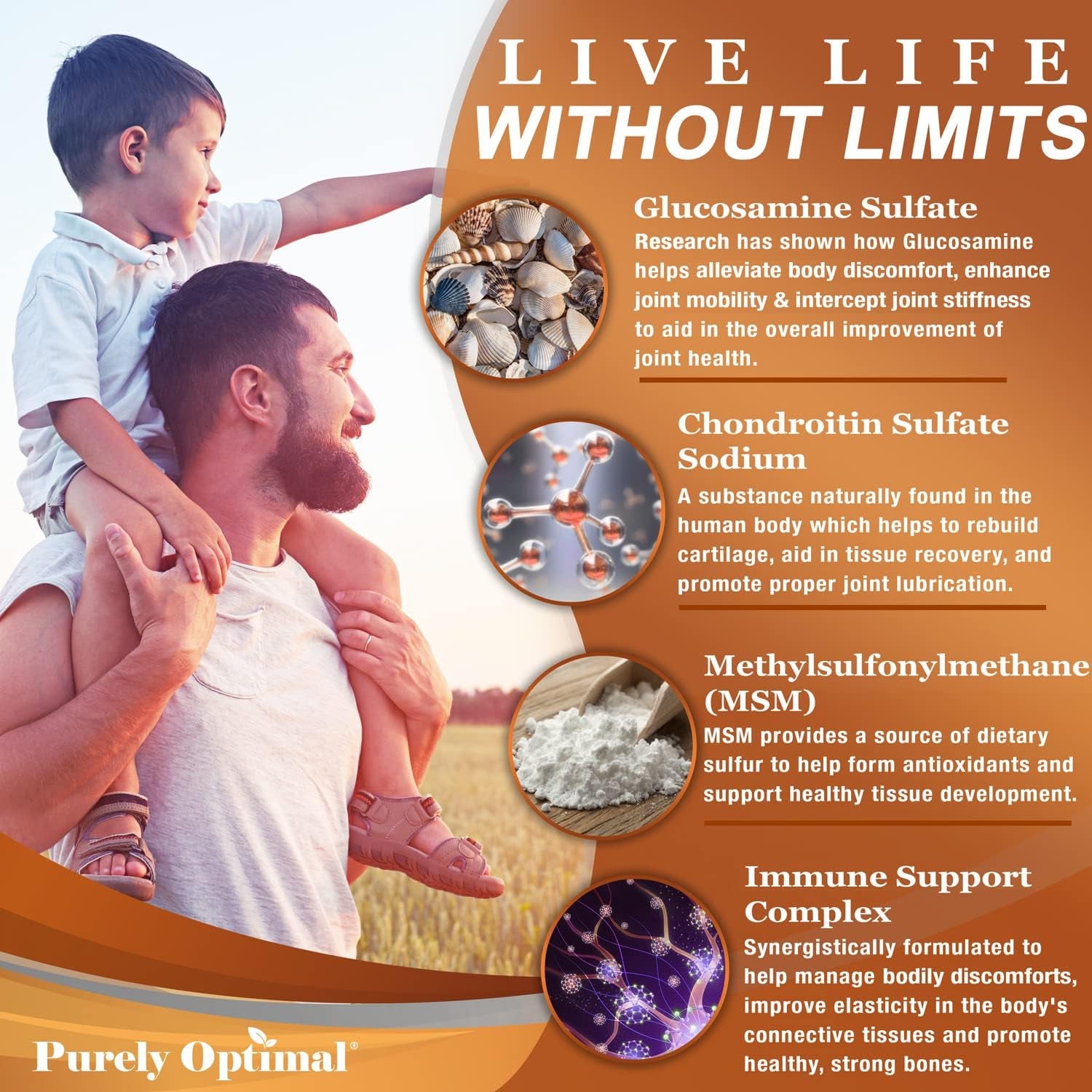 Purely Optimal Glucosamine Chondroitin MSM Supplement W/Turmeric & Boswellia - Joint Supplement - 120 Tablets