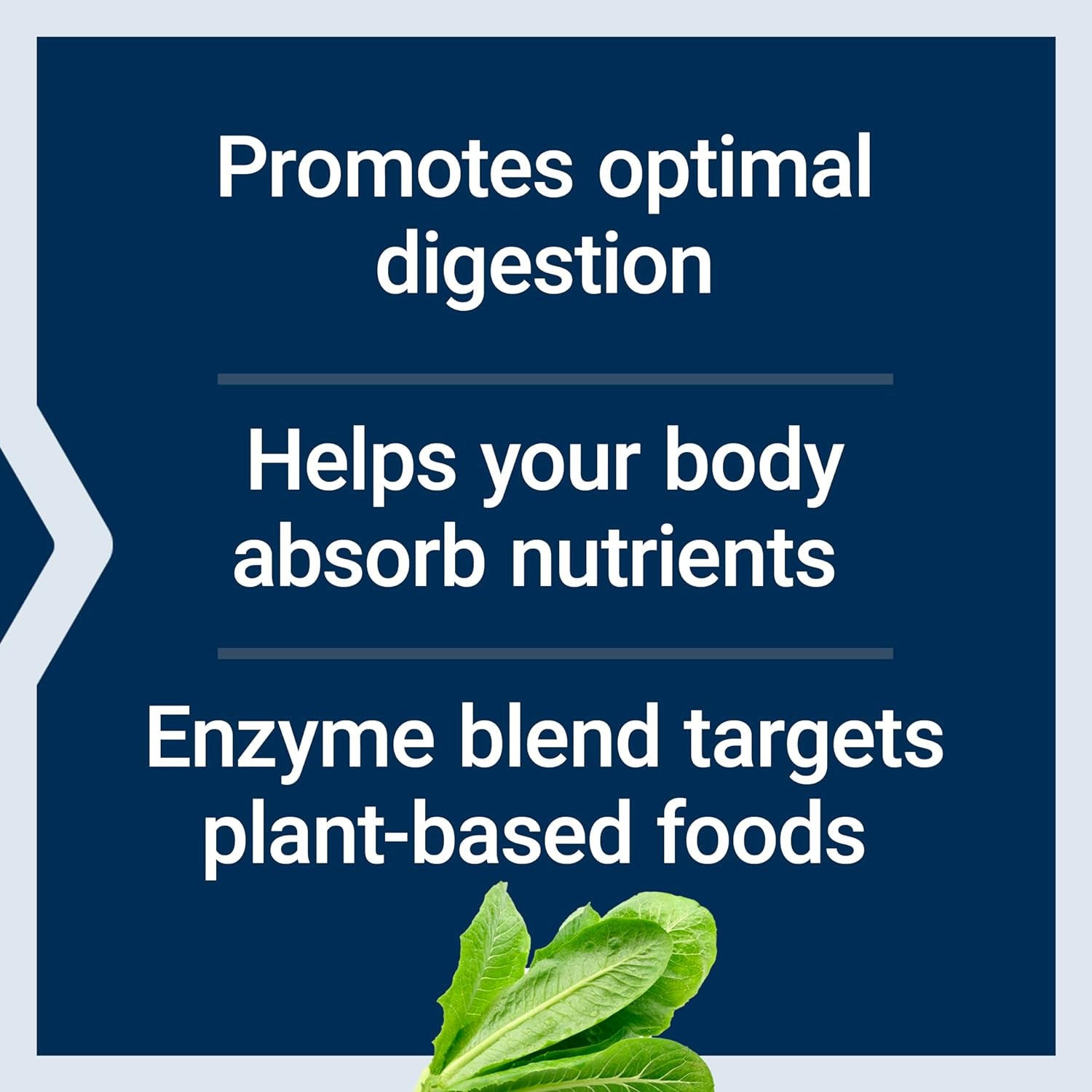 Life Extension Enhanced Super Digestive Enzymes & Probiotics - Plant-Based Diet Aid - 60 Vegetarian Capsules