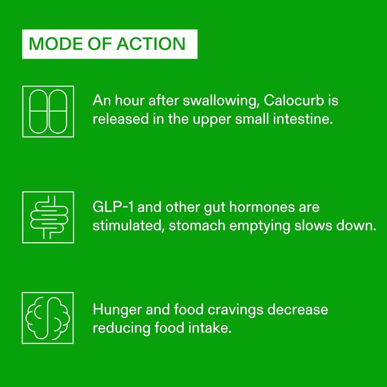 Calorie Control Supplement, 6X Natural GLP-1 Activator, 90 Count