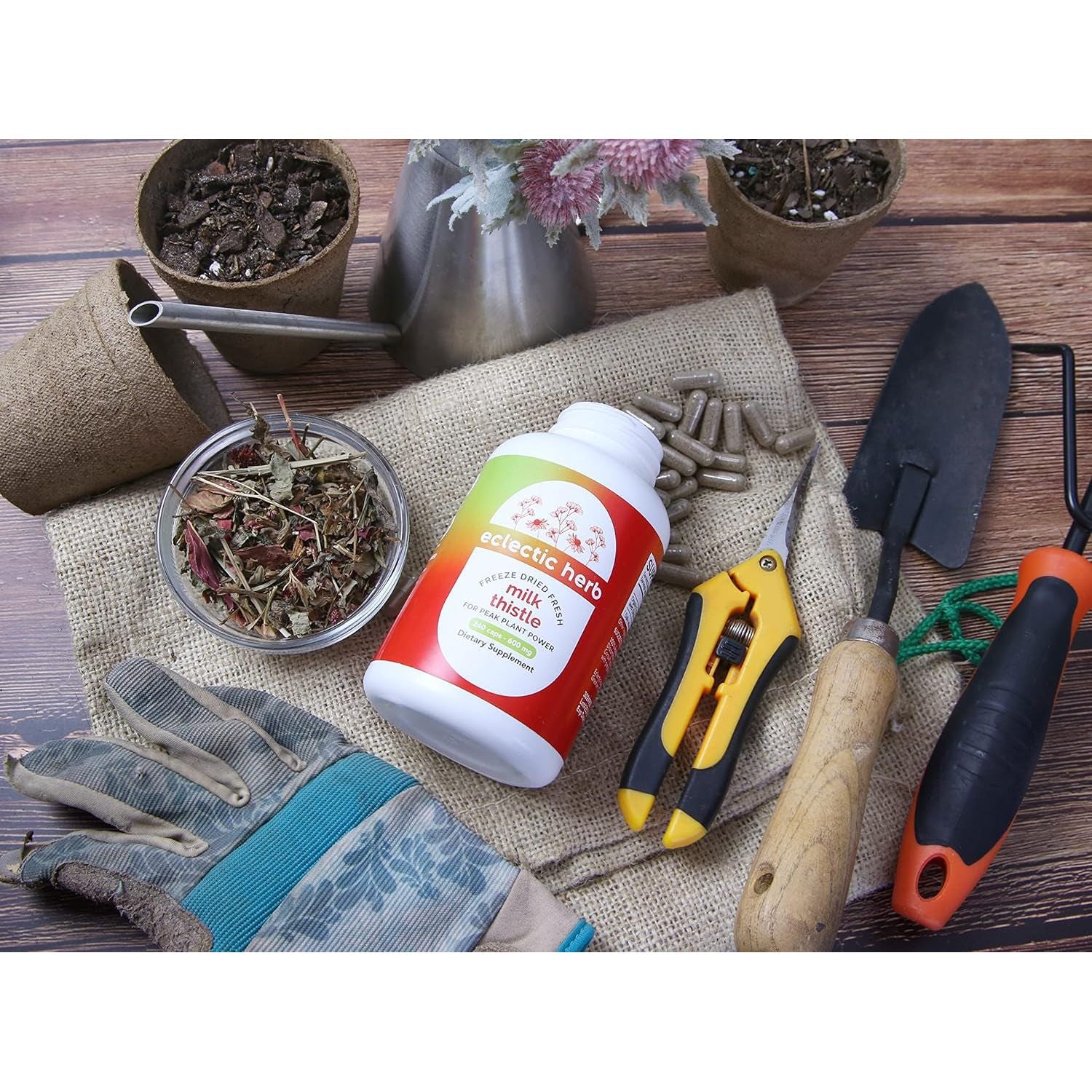 Eclectic Institute Raw Freeze-Dried Non-Gmo Milk Thistle | with Silymarin for Liver Support - Detox, Cleanse & Maintain | 240 CT