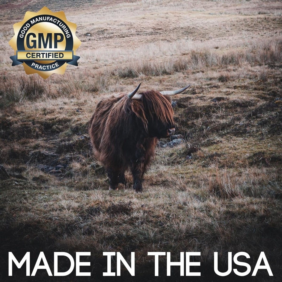 Carnivore Bundle | Pasture Raised Beef Liver and Beef Tallow | 3000Mg & 2 PACK - Suppviv