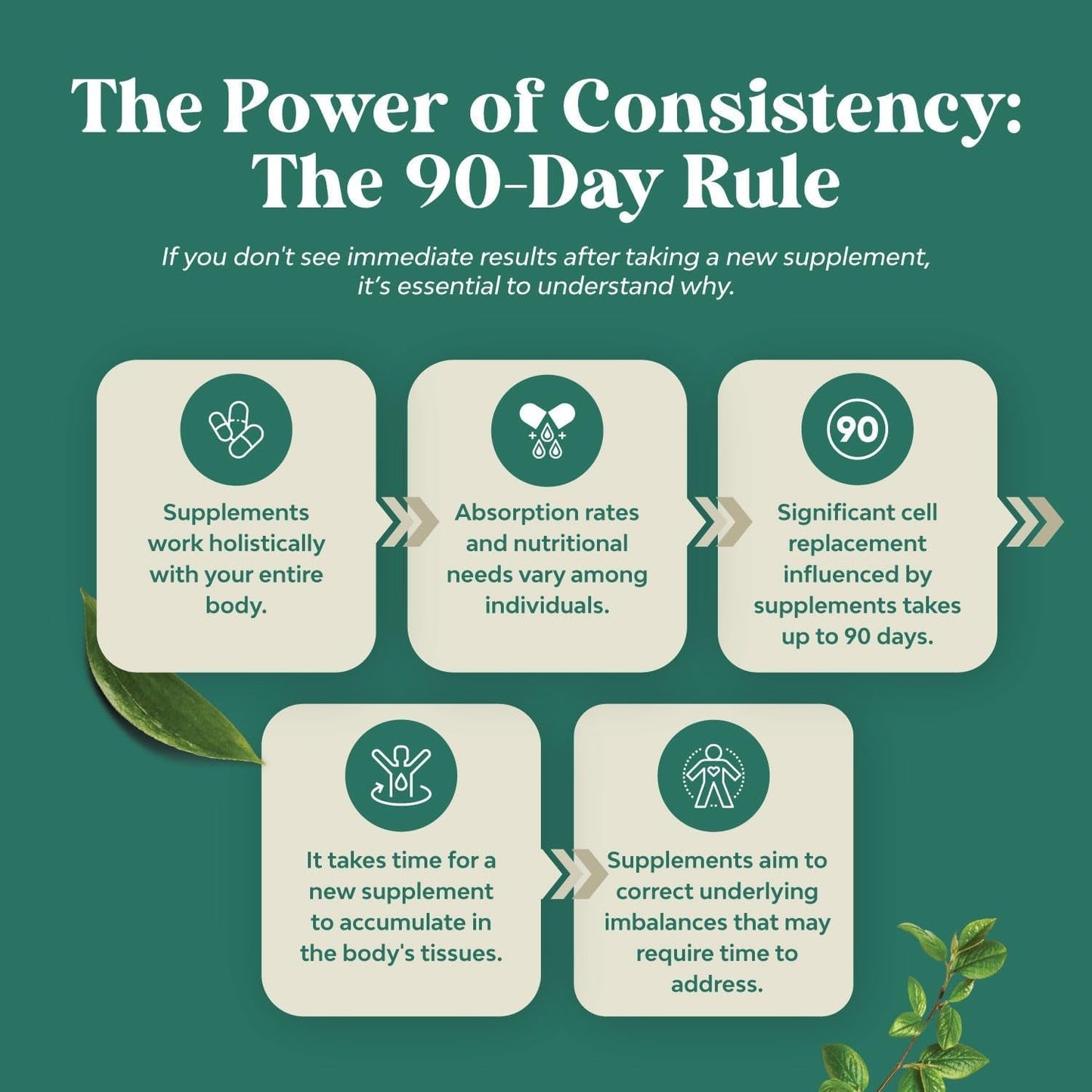 Green Coffee Bean Extract for Weight Loss - Natural Appetite Suppressant