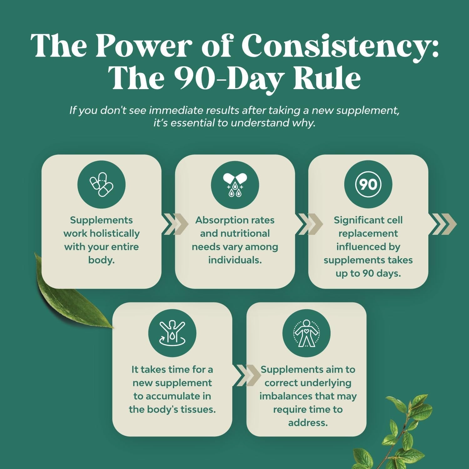 Green Coffee Bean Extract for Weight Loss - Natural Appetite Suppressant