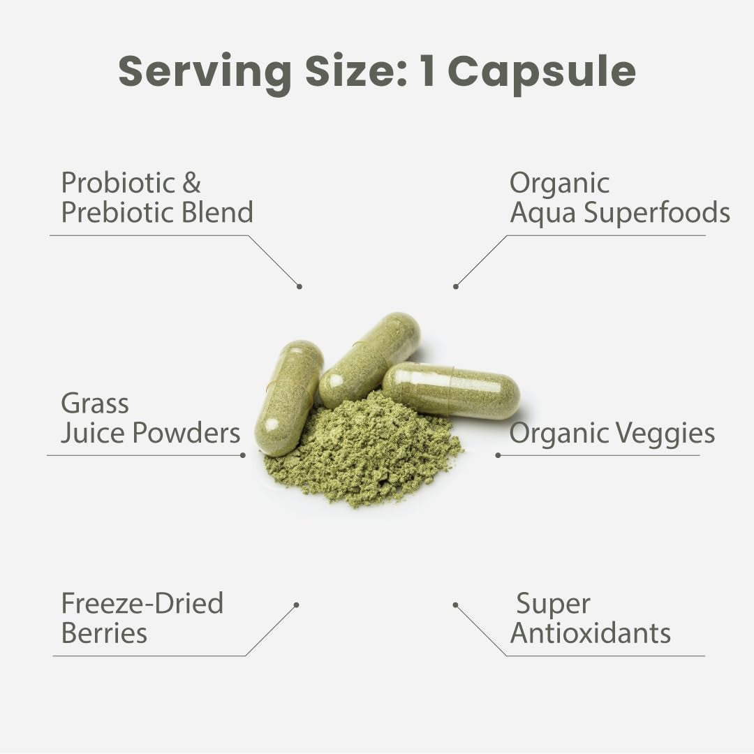 Paradise Herbs Earth'S Blend Women'S Once Daily Multivitamin with Iron 60 Capsules