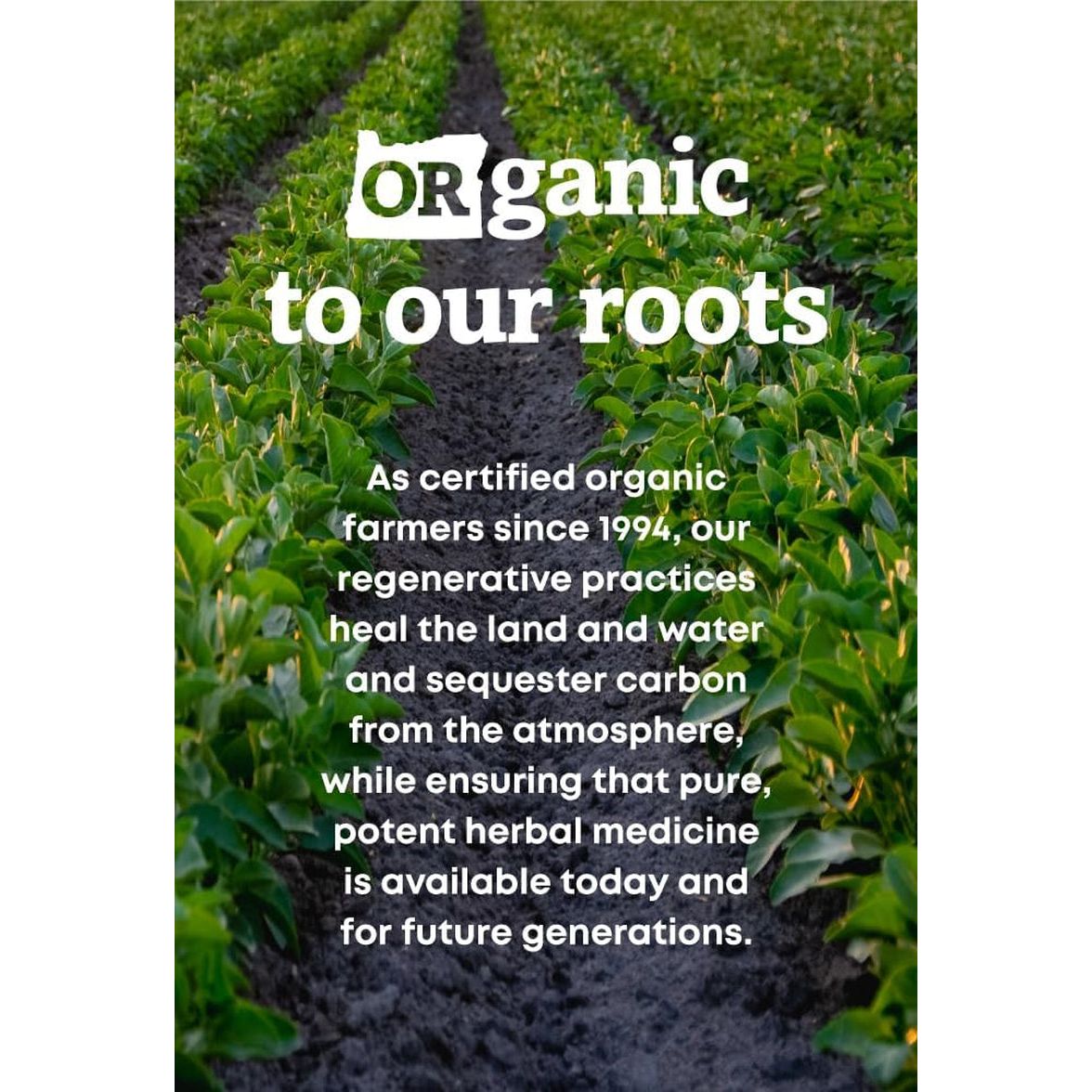 Oregon'S Wild Harvest Slippery Elm Organic Capsules, 90 Count