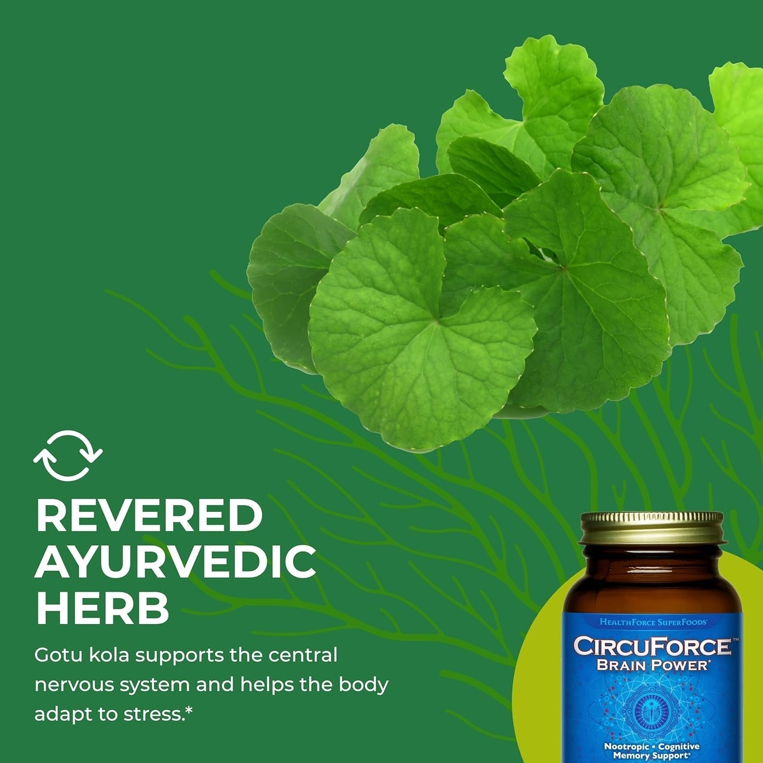 Healthforce Superfoods Circuforce Brain Power - 90 Vegancaps