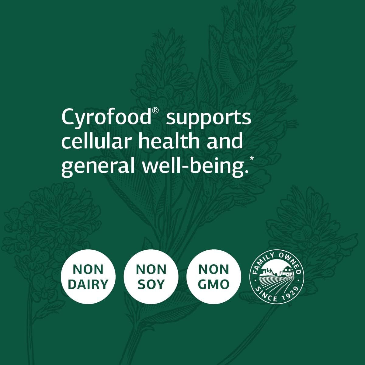 Standard Process Cyrofood - Whole Food Digestion, Digestive Health and Wellbeing - 360 Tablets