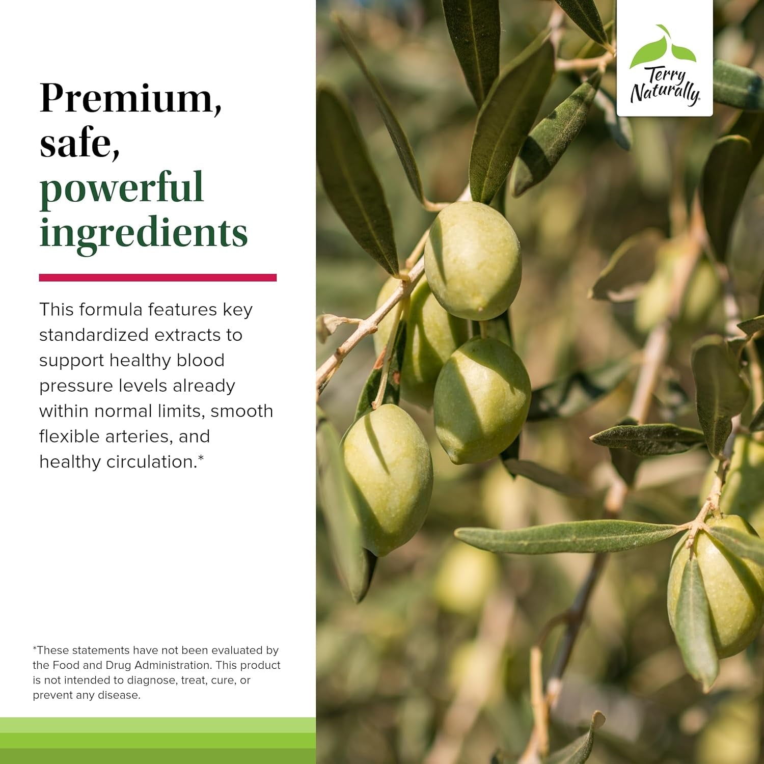 Terry Naturally Blood Pressure Health - Promotes Healthy Circulation - 60 Servings