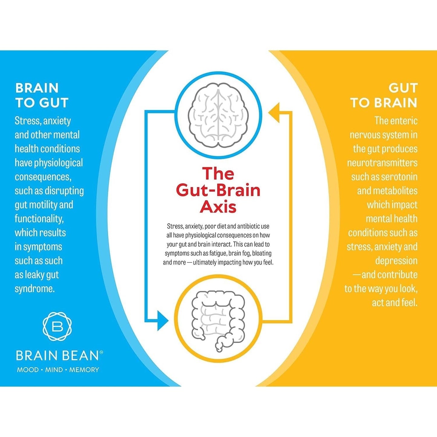 Brain Basics Ultra Pure Igg Supplement - Blended Vitamin & Mineral Supplements, 150G, 60 Servings