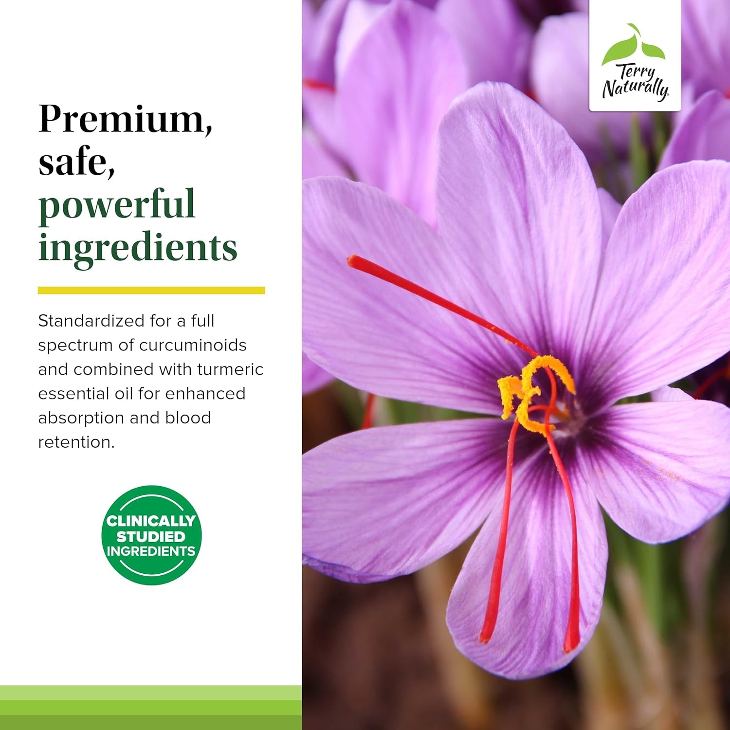 Terry Naturally Saffron Lift + Curcumin - Concentration & Relaxation Support Supplement - 60 Capsules