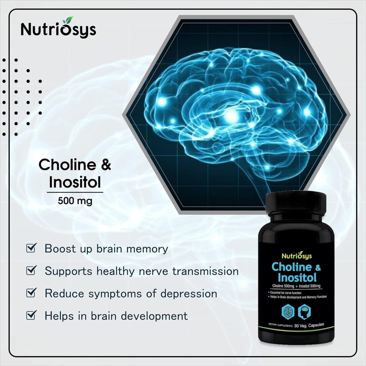 Choline & Inositol 1000Mg Serving (Choline 500Mg + Inositol 500Mg), 90 Veg Capsules - Suppviv