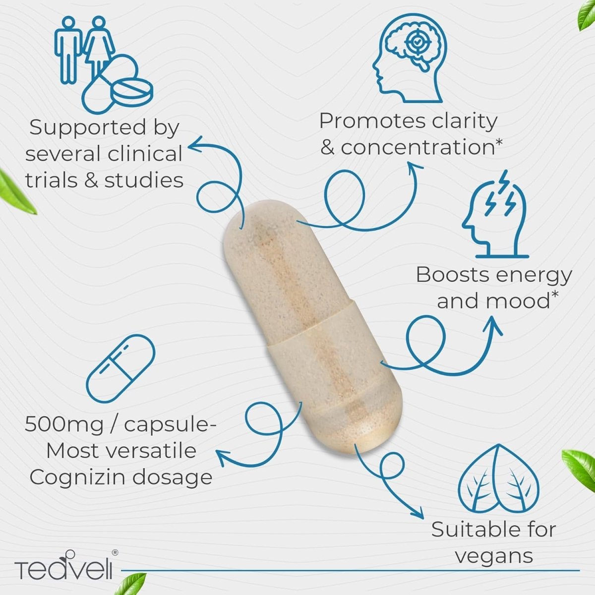 Cognizin Citicoline - 500Mg CDP Choline Capsules - Brain Supplement to Support Clarity, Concentration and Memory 30 Servings - Suppviv