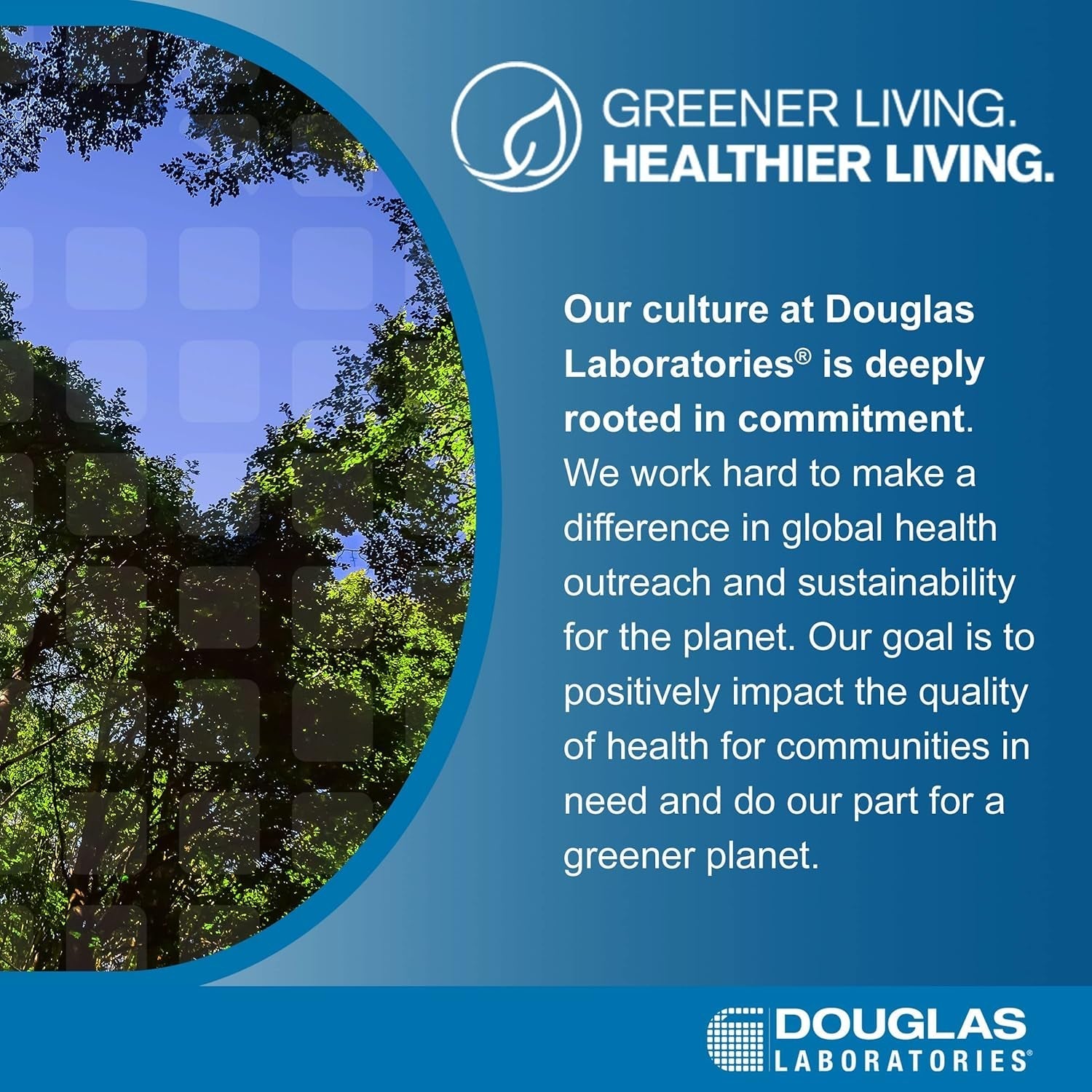Douglas Laboratories - Multivitamin and Mineral Supplement to Support Energy Production, Immune Function, and Overall Health* | 60 Capsules