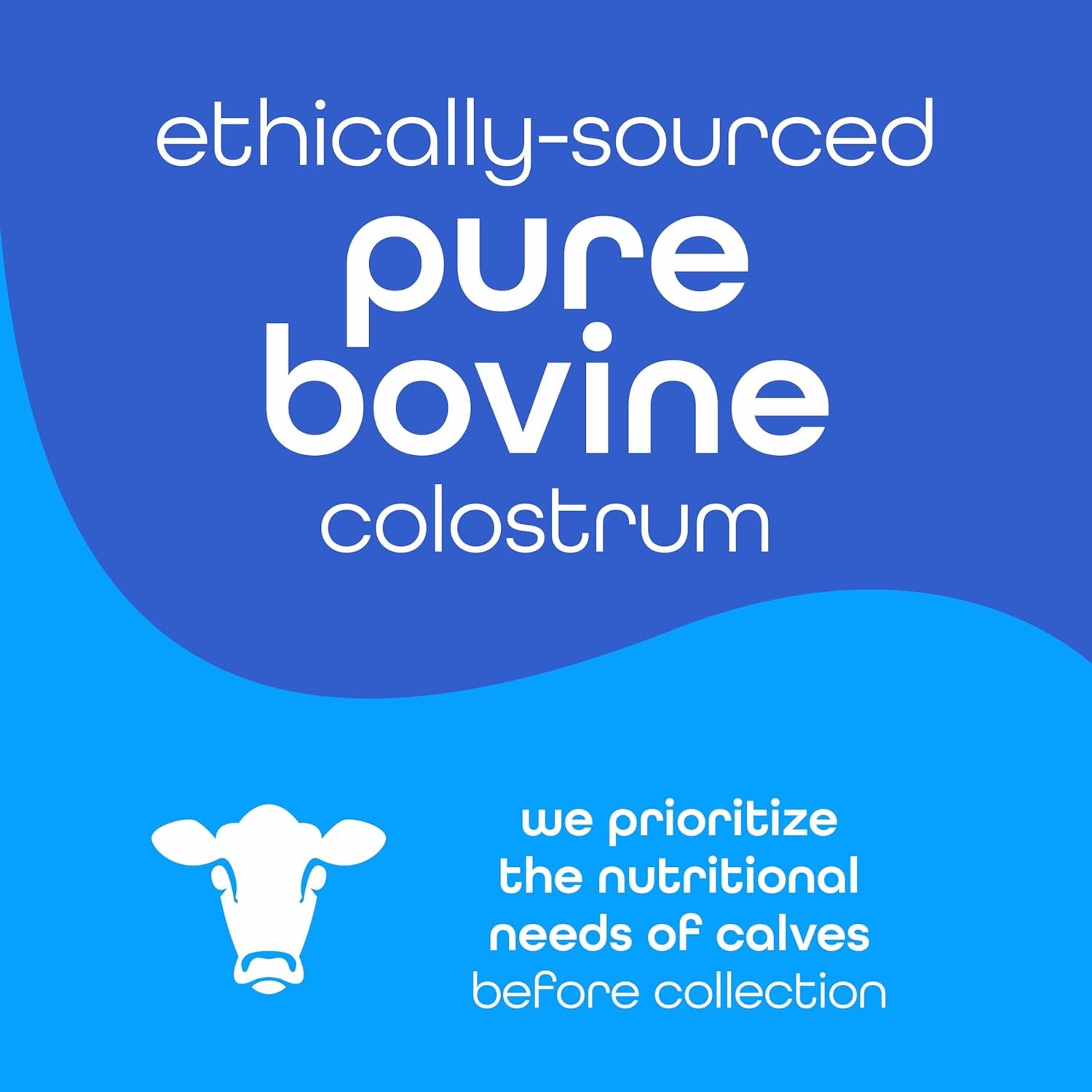 Zena Nutrition Bovine Colostrum Powder Supplement for Gut Health, Immune & Digestive Support, 2000Mg 30 Servings
