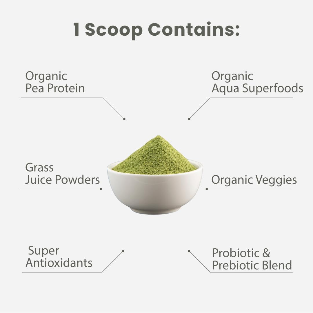 Paradise Herbs ORAC Energy Protein & Greens Powder, Antioxidant Power of 24 Servings