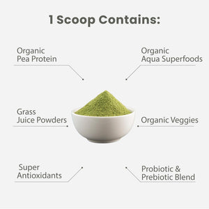 Paradise Herbs ORAC Energy Protein & Greens Powder, Antioxidant Power of 24 Servings