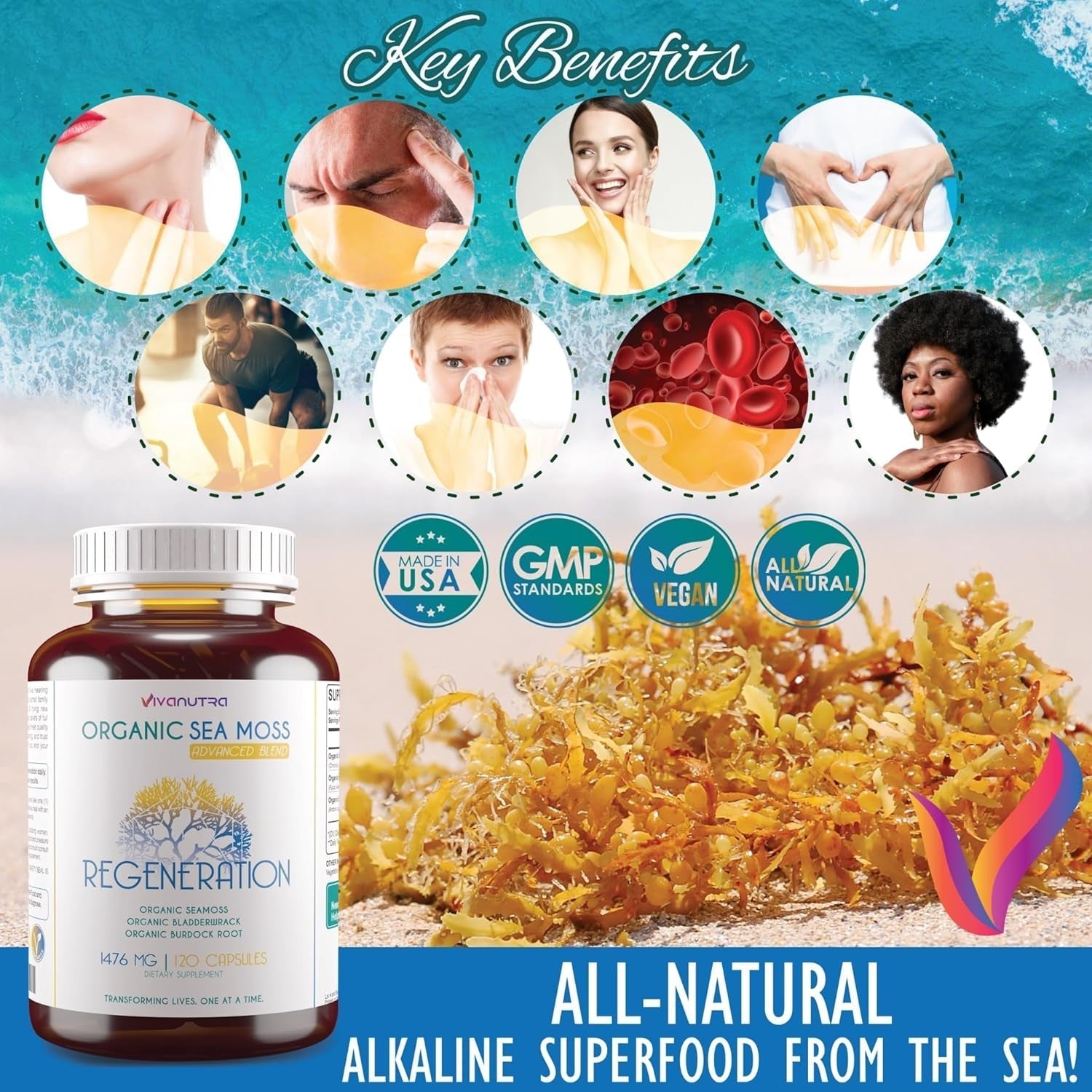 Organic Sea Moss Capsules, Bladderwrack & Burdock Root 120 Count