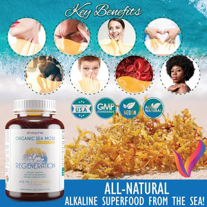 Organic Sea Moss Capsules, Bladderwrack & Burdock Root 120 Count