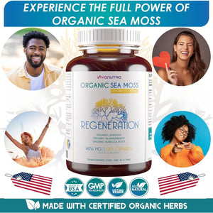 Organic Sea Moss Capsules, Bladderwrack & Burdock Root 120 Count