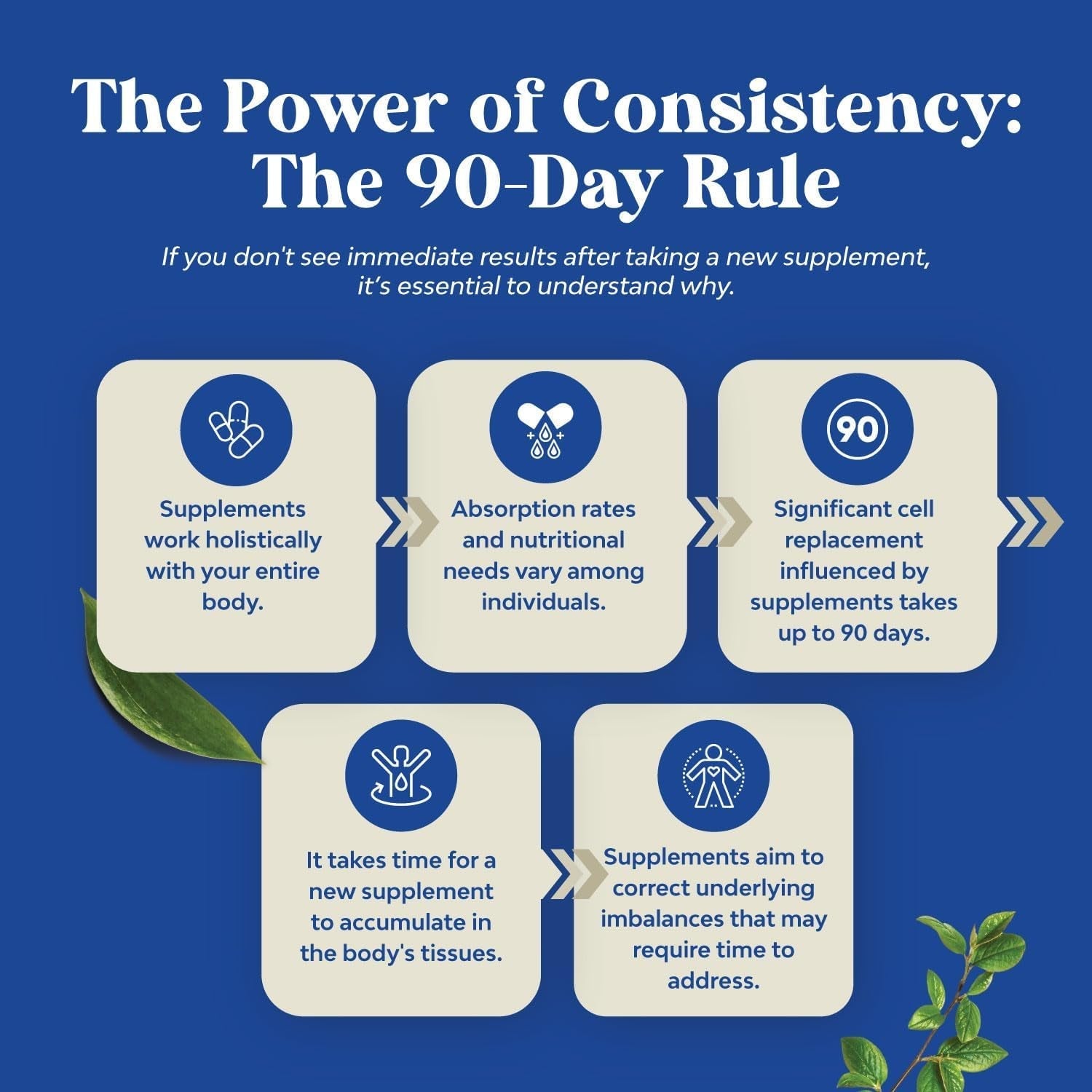 Potent Black Maca Root Capsules for Men to Support General Health (30 Servings)