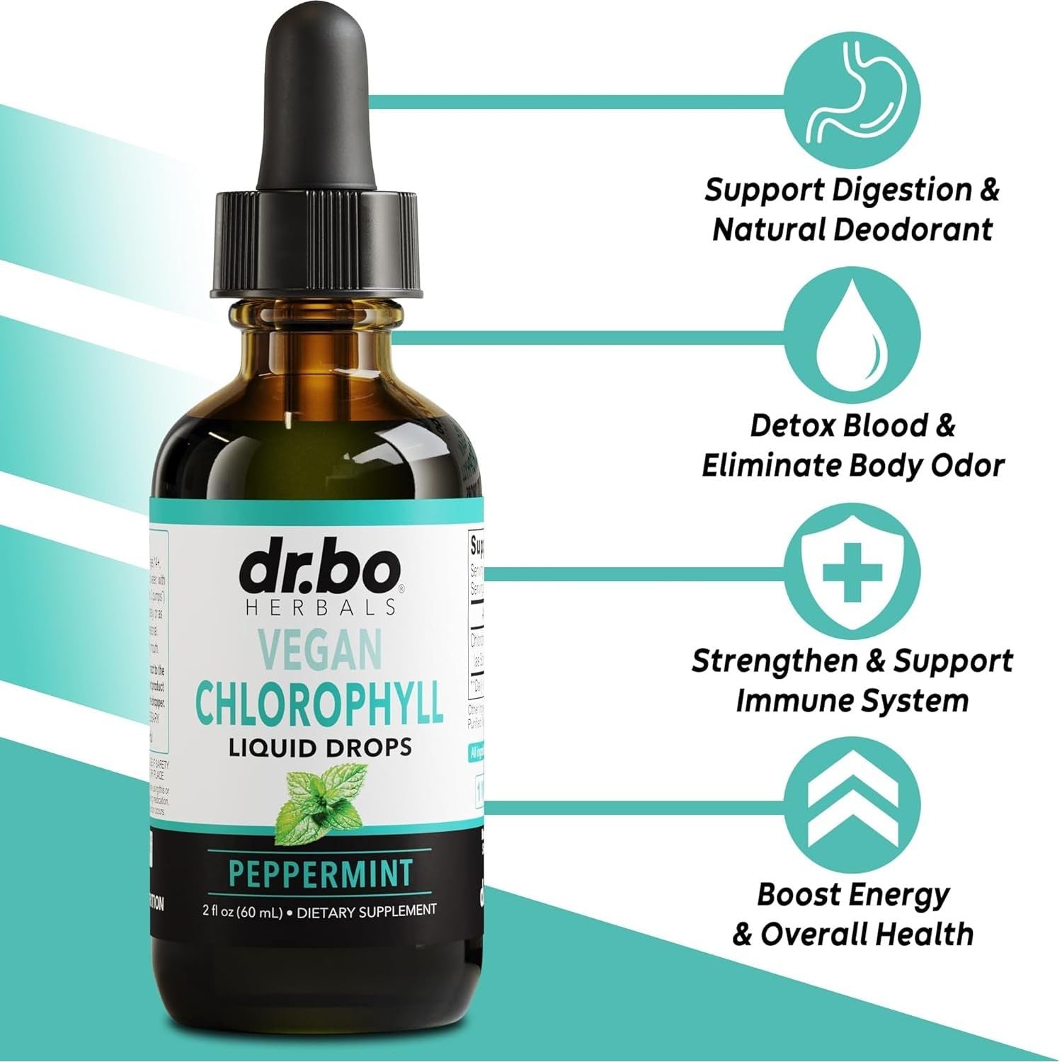 Chlorophyll Liquid Drops Body Detox - Vegan Liquid Chlorophyll Drops Odor Cleanse Supplement 2 Oz