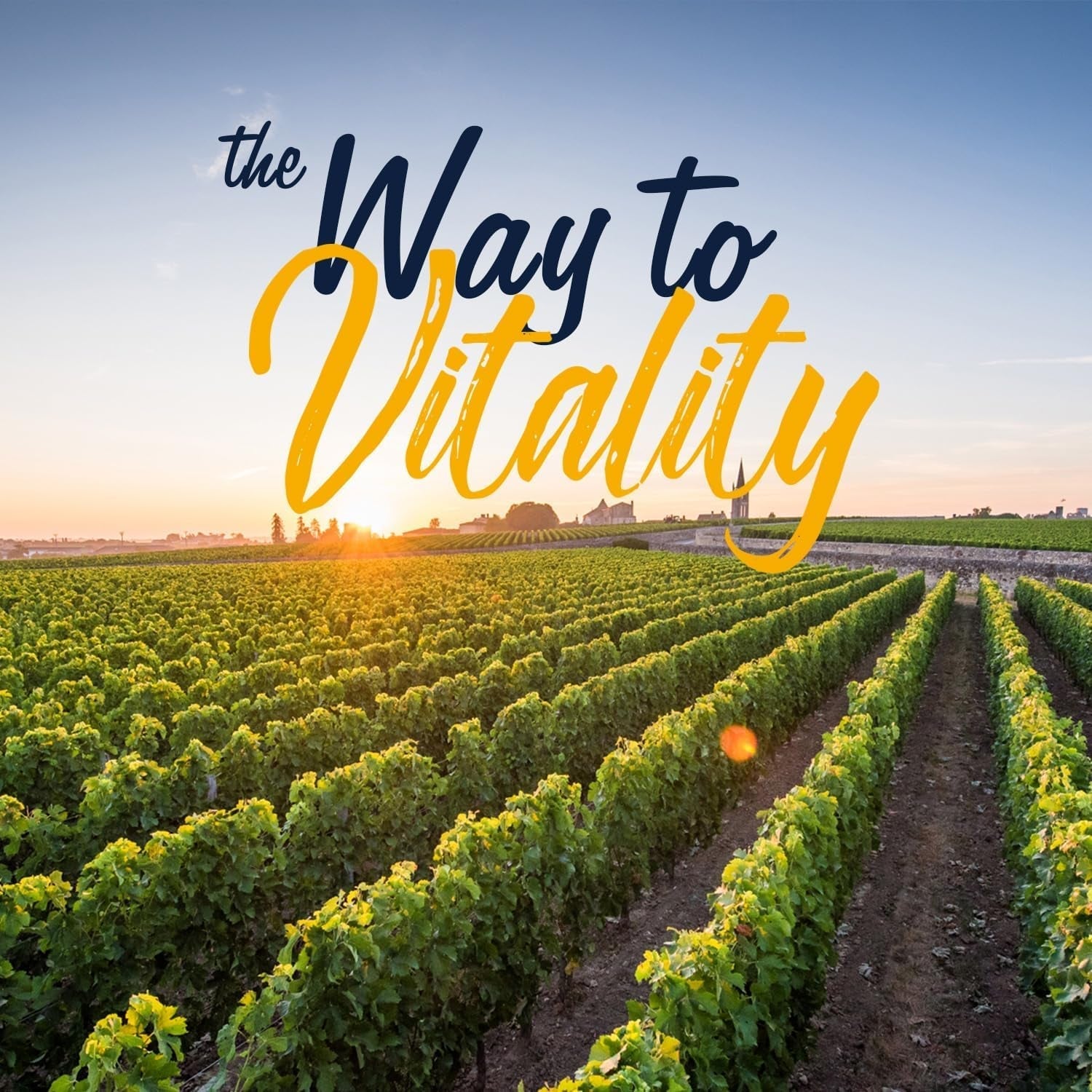 Vitalitown Moringa Capsules 11,000 MG,, Green Moringa Leaves, No Sticks, No Caffeine, Moringa Oleifera, Energy, Appetite, 90 Capsules