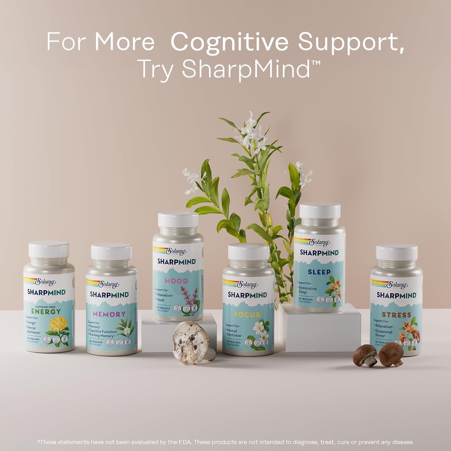 SOLARAY Ginkgo Biloba Extract with Gotu Kola - Ginko Biloba Capsules for Brain Health Support  60 Servings