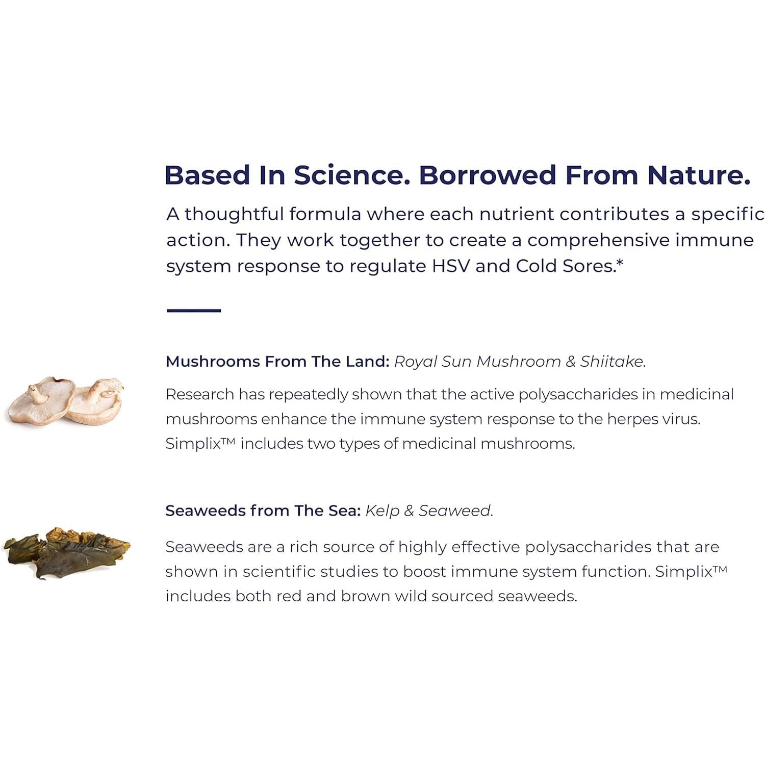 Simplix | Natural Supplement to Strengthen the Immune System | Respond to Outbreaks 60 Veggie Capsules