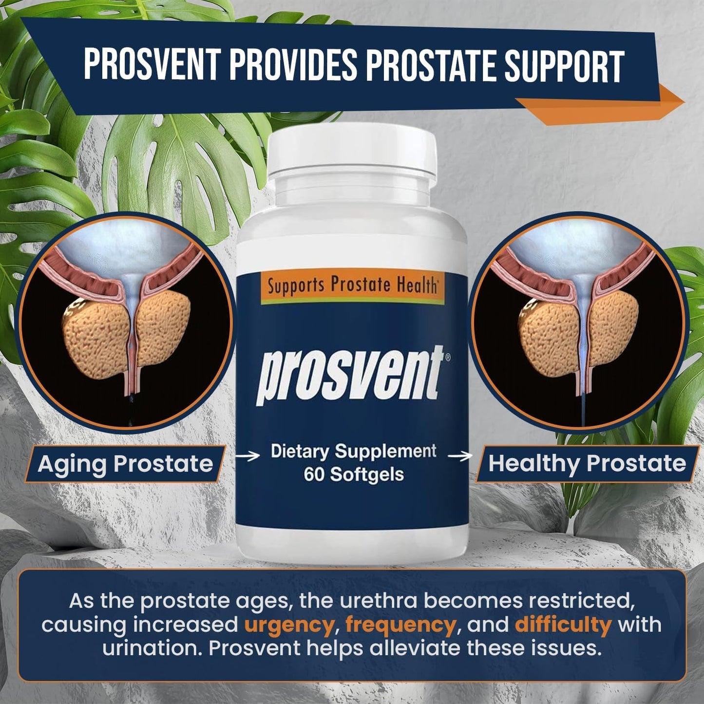 Advanced Men'S Prostate Support Natural Supplement to Ease Urinary Frequency & Urgency (60 Count)