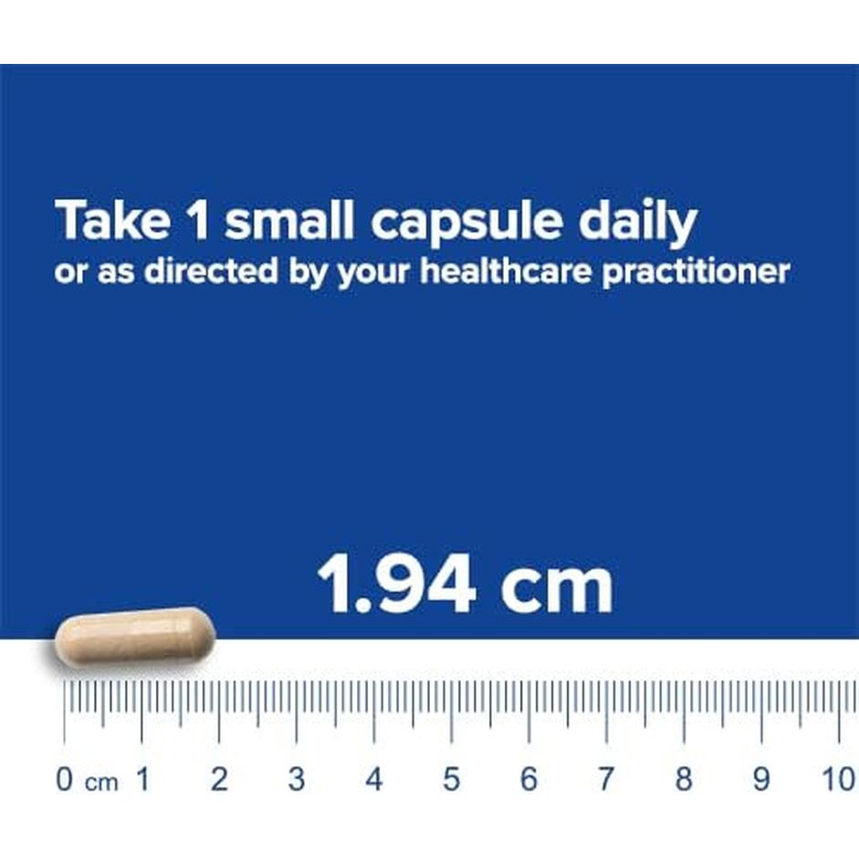 Bariatric Fusion Digestive Support | Probiotics for Digestive Health and Gut Health Support 60 Capsules