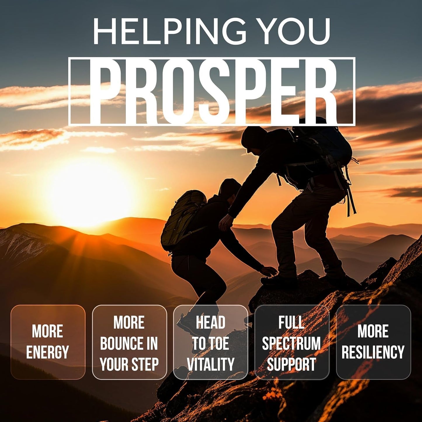 Beef Organ Supplement Grass Fed Complex for Men and Women - 10 Carnivore Meat Proprietary Blend - 180 Caps