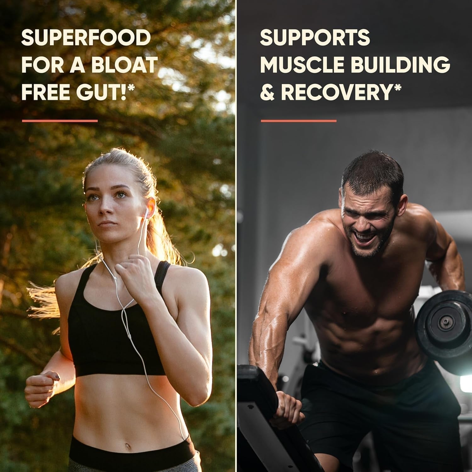 Grass Fed Bovine Colostrum Powder for Humans, Adults | Immunity & Muscle Recovery Support 65 Servings