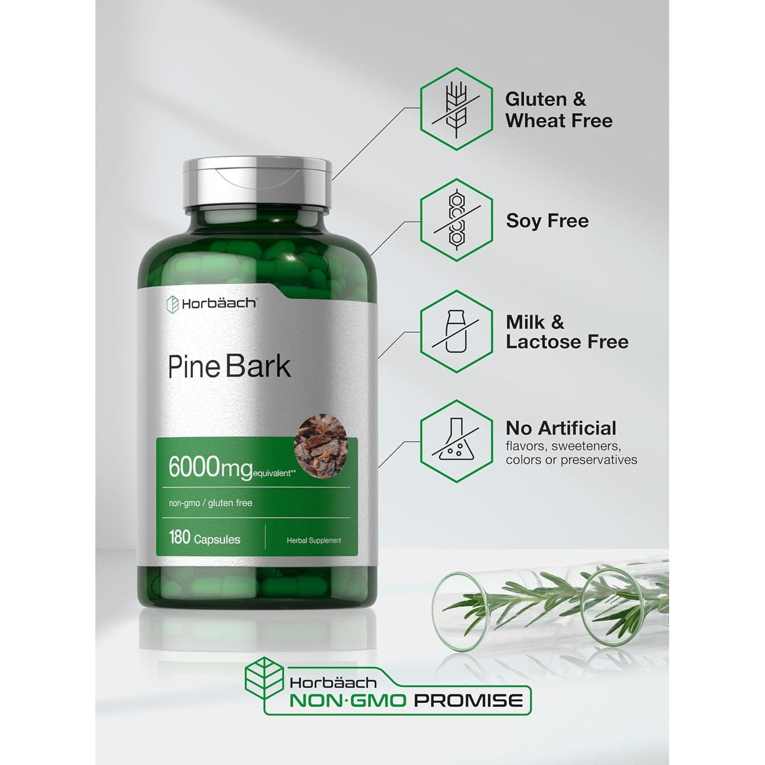 Horbäach Pine Bark Extract | 6000 Mg | Standardized to Contain 75% Proanthocyanidins 180 Capsules